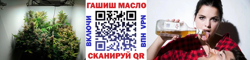 цена   Грязовец  ТГК концентрат 